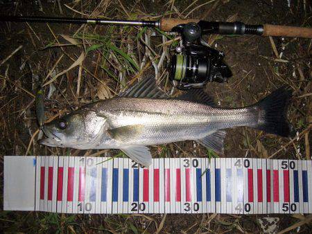 お馴染のポイントにてＨｉｔ”！